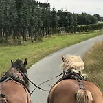 Familie Willems Am Waltenberg Incl Sauerland Sommercard Winterberg