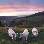 Familie Willems Am Waltenberg Incl Sauerland Sommercard Lejlighed