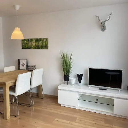 Familie Willems Am Waltenberg Apartment Winterberg