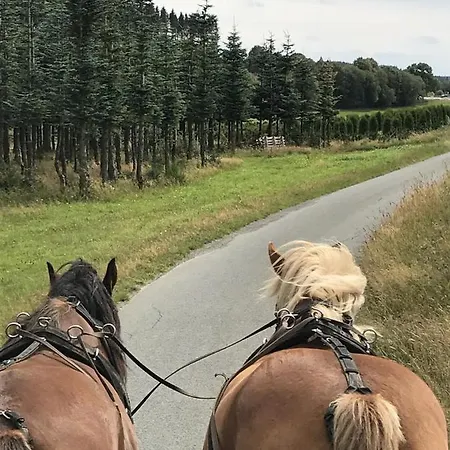Familie Willems Am Waltenberg 빈터베르크