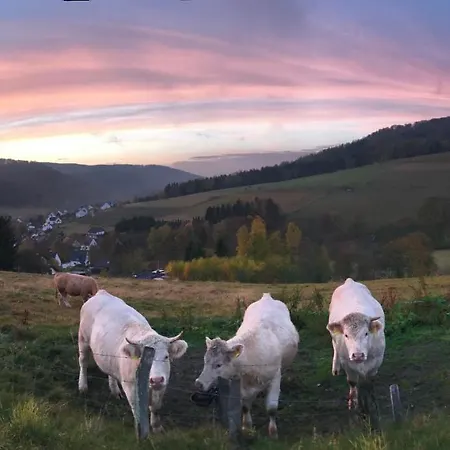 Familie Willems Am Waltenberg 아파트