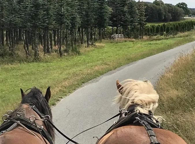 Familie Willems Am Waltenberg Winterberg