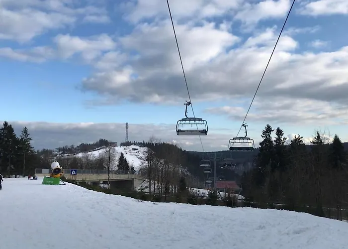 Daire Familie Willems Am Waltenberg Winterberg